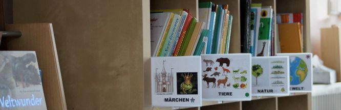 Zu sehen ist ein Ausschnitt des Bücherregals. Die Bücher sind nach Themen sortiert und mit Beschriftungen und Bildern markiert.
