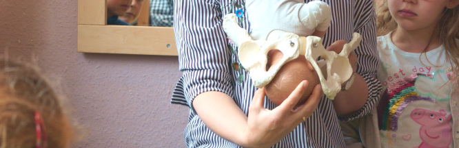 zu sehen ist ein Puppenbaby, dass an ein Beckenknochen gehalten wird.