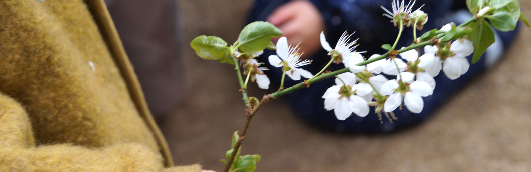 zu sehen ist die Hand eines Kindes mit einem Stock, mit weißen Blüten