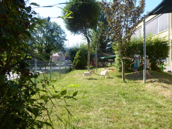 zu sehen ist ein Ausschnitt vom Garten, links und rechts stehen Büsche, in der Mitte vereinzelte junge Bäume und 2 kleine Holztiere für Kinder zum Reiten
