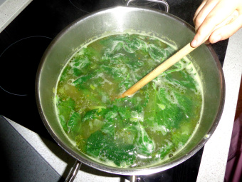 zu sehen ist ein Topf, in dem sich eine grüne Suppe befindet, die gerührt wird. Pflanzenteile sind zu erkennen