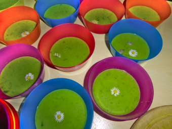 zu sehen sind bunte Schälchen, in denen sich eine grüne Suppe befindet. In jeder Schüssel ist ein Gänseblümchen drin