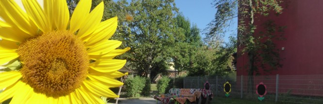 Zu sehen ist eine Sonnenblume und ein gepflasterter Weg, am Ende stehen Bänke mit Decken darüber